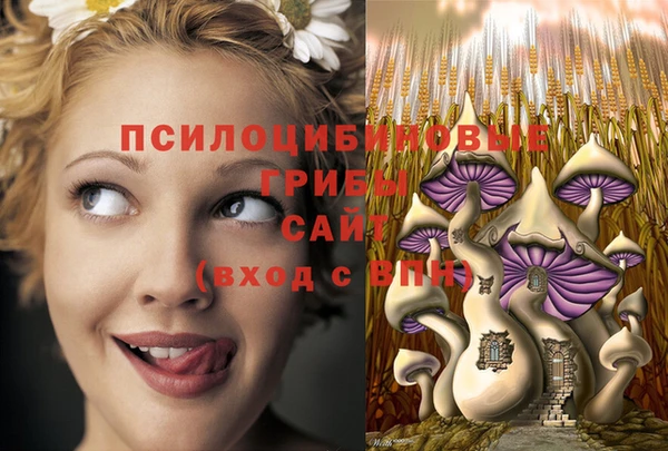 скорость Весьегонск