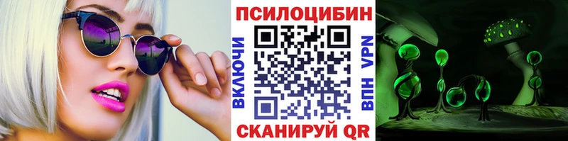 купить   Кириллов  Галлюциногенные грибы Psilocybine cubensis 