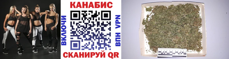 Бошки марихуана THC 21%  Кириллов 